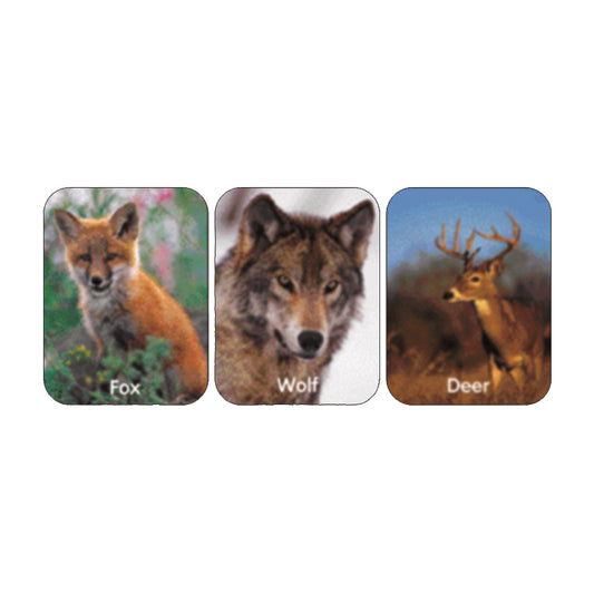 Wildlife Animal Stickers