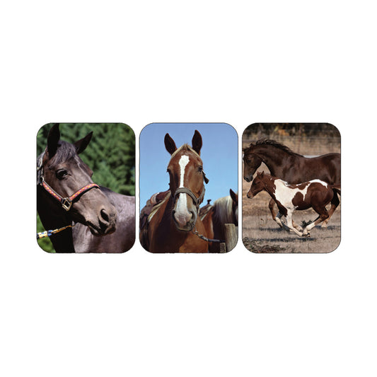 Horse Photo Stickers