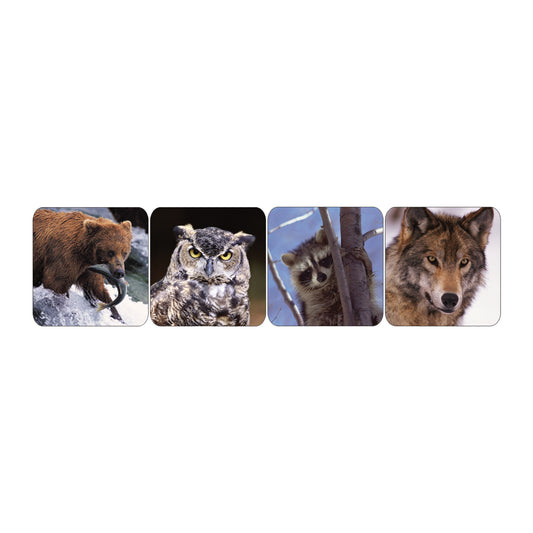 Wildlife Animal Stickers