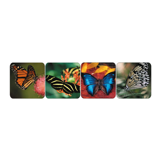 Butterfly Photo Stickers