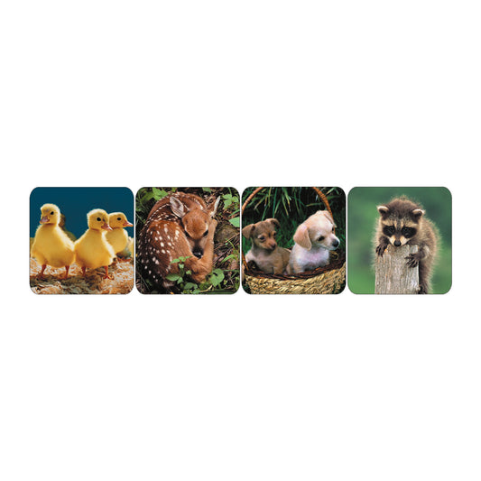 Baby Animal Photo Stickers