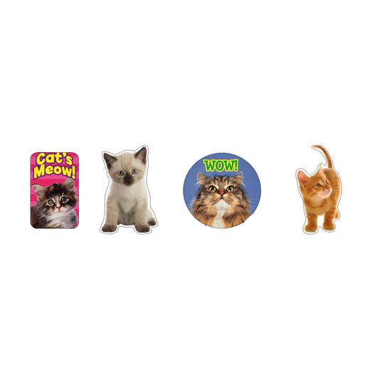 Motivational Cat Stickers