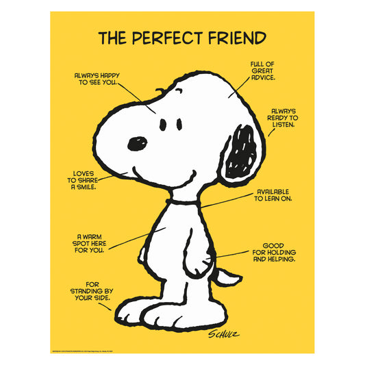 Peanuts Perfect Friend Poster
