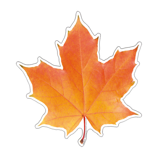 Leaf Photo Paper Cut-Outs