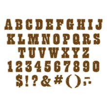 Wild Wild Classroom Deco Letters