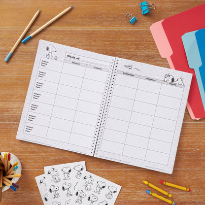 Peanuts Lesson Plan & Record Book